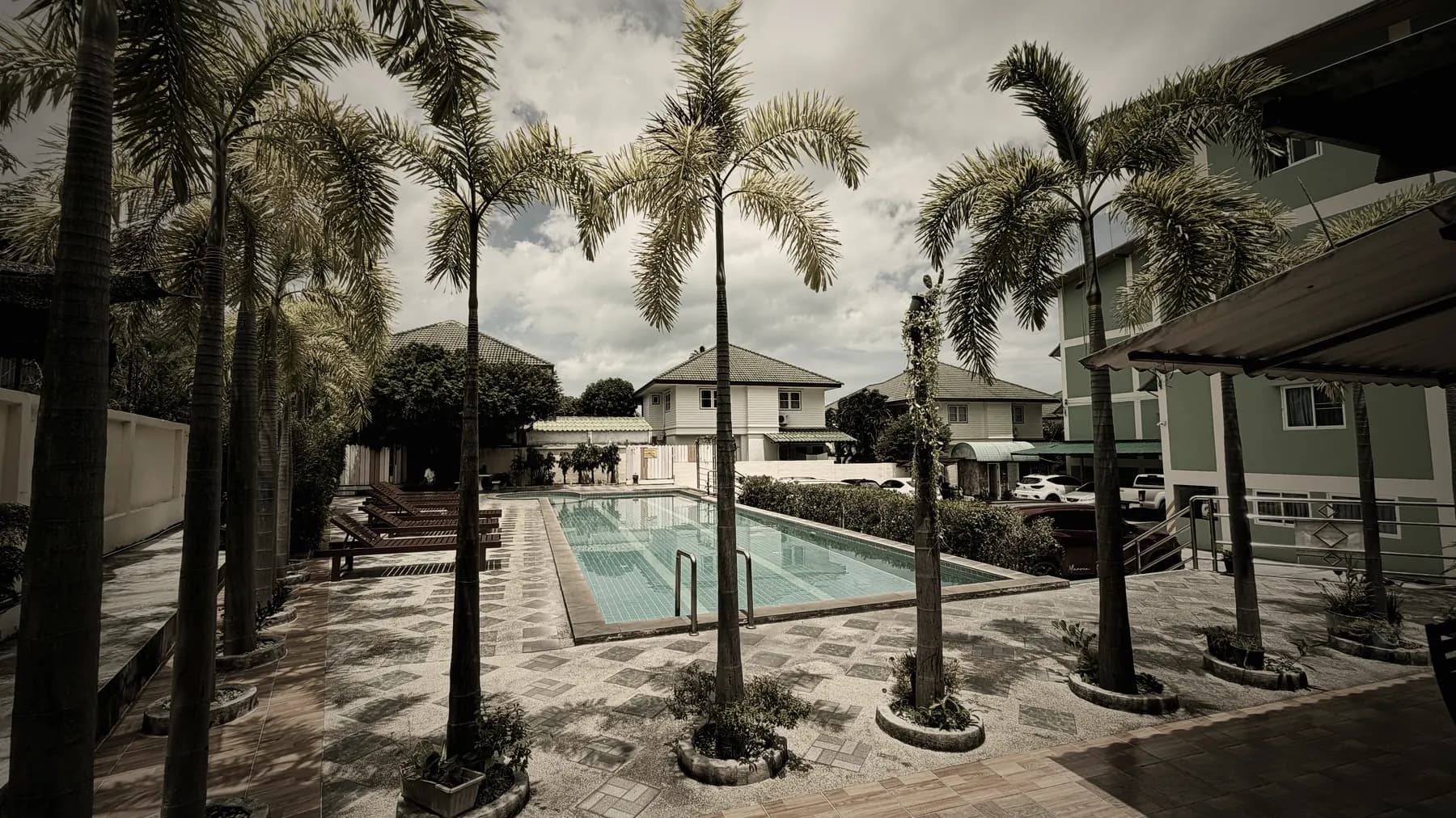 Piscine du logement Road to Fight à Koh Samui vue depuis l'allée plantée de palmiers