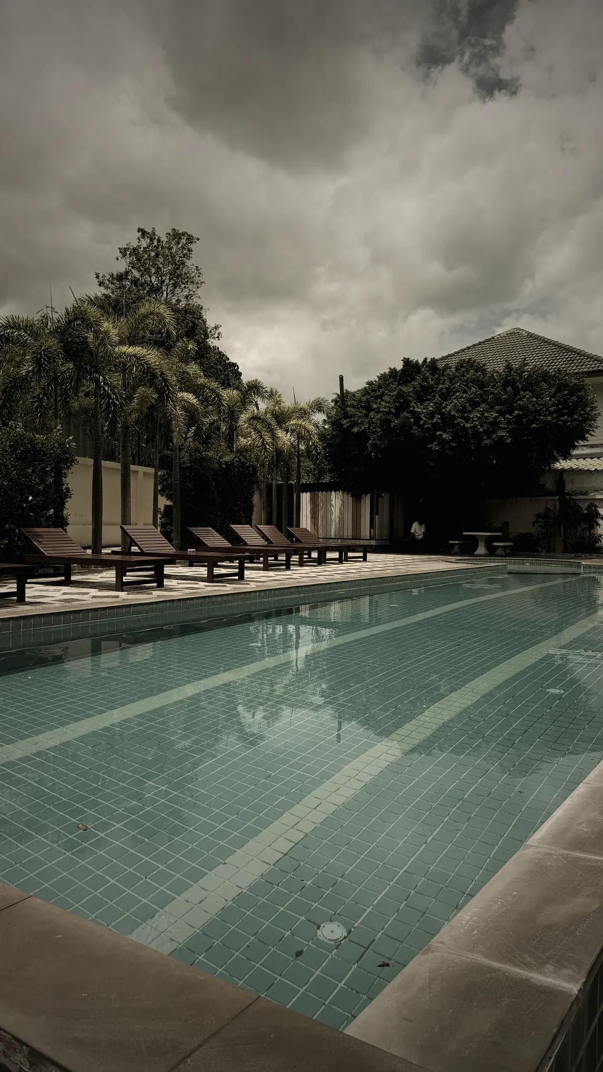 Piscine et transats bordés de palmiers au logement du camp Road to Fight à Koh Samui