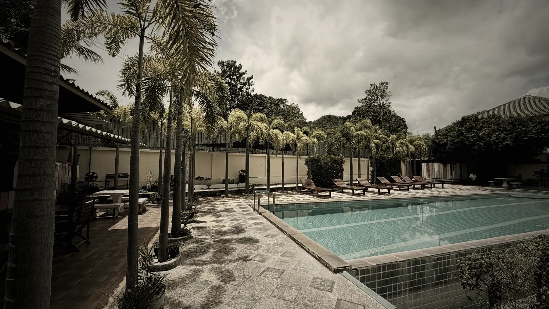 Piscine bordée de palmiers et de transats au logement du camp Road to Fight à Koh Samui